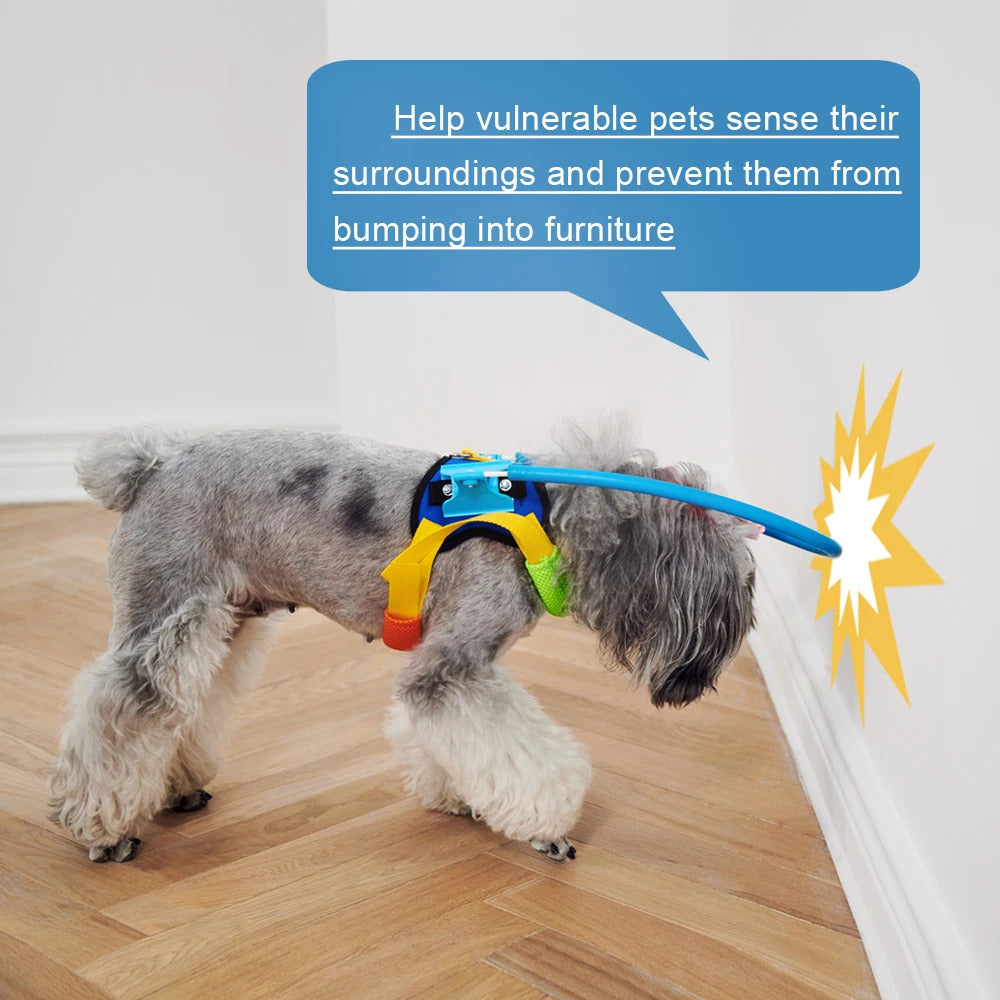 Unser Blind Dog™ Antikollisionshalsband für Hunde