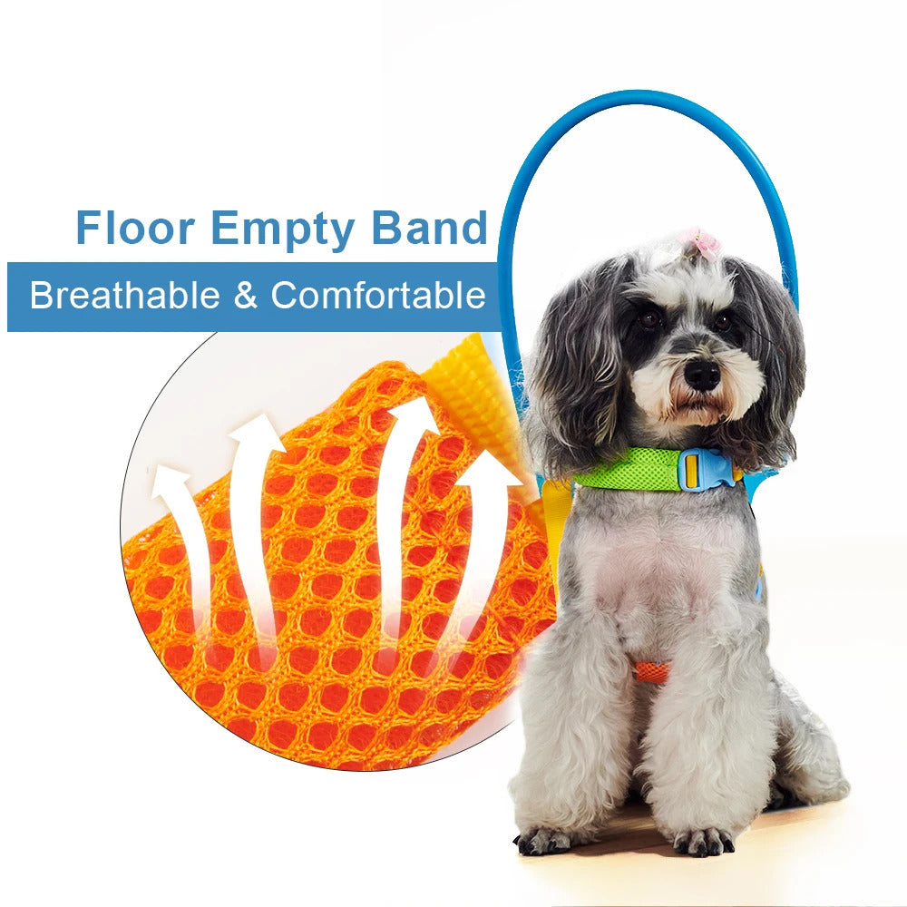 Our Blind Dog™ Dog Anti Collision Collar