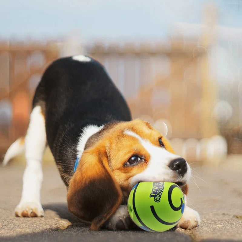 blinddogtoys-dogball-dogisplayinginteractiveball